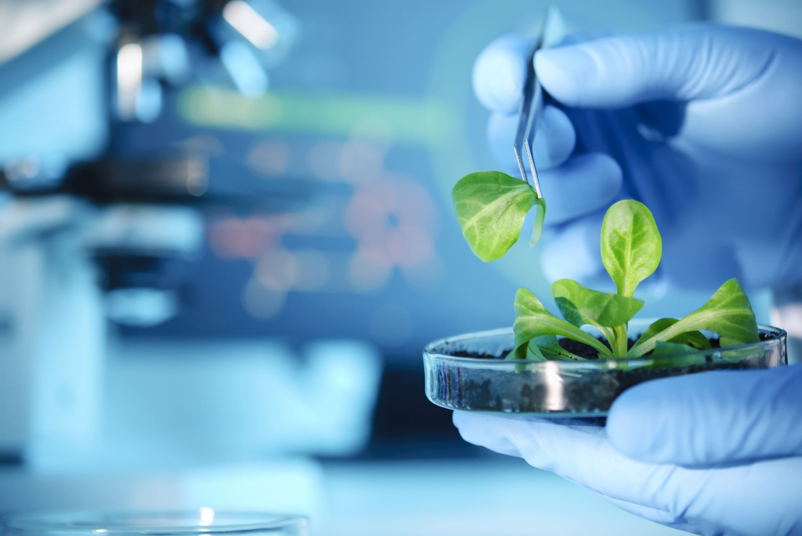 Le biotecnologie contribuiscono a preservare le risorse ambientali