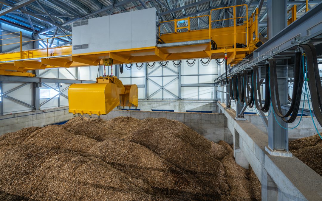 Risorse naturali e salute. Focus on: risorse biologiche